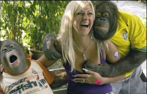 Monkey Hug